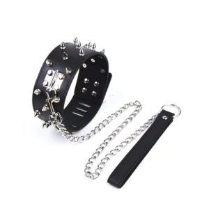 Stylish Studded Leather Collar Set