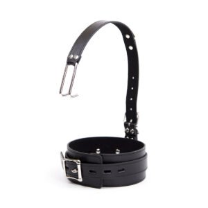 Unique Metal - Buckle Collar and Nose Hook Set