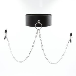 Unique Lock - Buckle Collar and Chain Clip Set