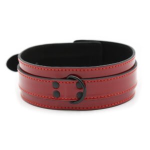 Stylish Red and Black Leather Collar
